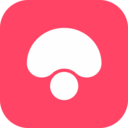 蘑菇街app安卓最新版