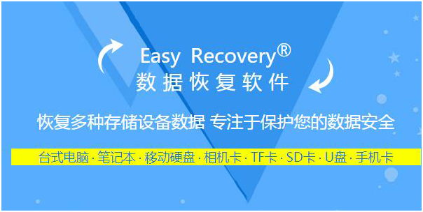 easyrecovery pro汉化版